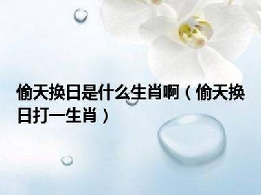 偷天换日出自哪个典故,偷天换日的意思与来源-第4张图片-文史 偷天换日出自哪个典故,偷天换日的意思与来源-第4张图片-文史