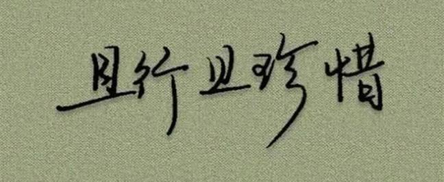 且行且珍惜前一句是什么,且行且珍惜的出处-第1张图片-文史 且行且珍惜前一句是什么,且行且珍惜的出处-第1张图片-文史