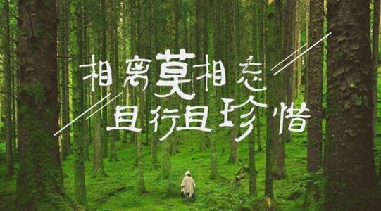 且行且珍惜前一句是什么,且行且珍惜的出处-第7张图片-文史 且行且珍惜前一句是什么,且行且珍惜的出处-第7张图片-文史