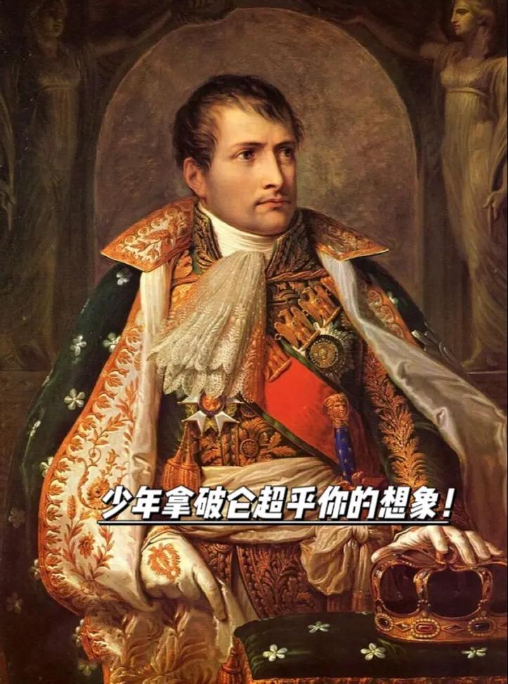 拿破仑是个怎样的人（拿破仑是个怎样的人物形象）