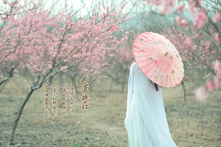 人面桃花有什么历史典故,人面桃花的历史典故-第4张图片-文史 人面桃花有什么历史典故,人面桃花的历史典故-第4张图片-文史