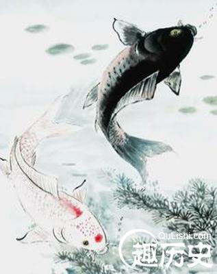 如鱼得水的主人公是谁,如鱼得水的主人公是谁?-第4张图片-文史 如鱼得水的主人公是谁,如鱼得水的主人公是谁?-第4张图片-文史