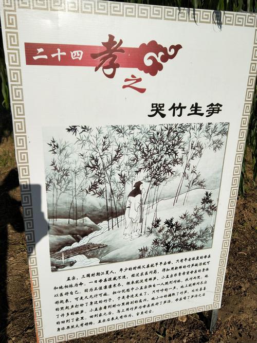 哭竹生笋有何故事,哭竹生笋的故事则有些可疑,还有-第2张图片-文史 哭竹生笋有何故事,哭竹生笋的故事则有些可疑,还有-第2张图片-文史