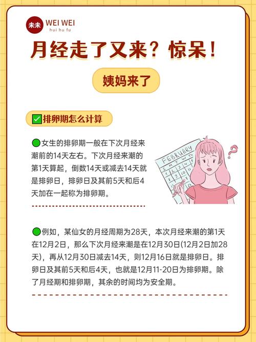 又是怎么来的(又是什么来着)-第1张图片-文史 又是怎么来的(又是什么来着)-第1张图片-文史
