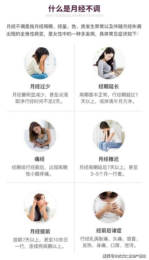 又是怎么来的(又是什么来着)-第4张图片-文史 又是怎么来的(又是什么来着)-第4张图片-文史
