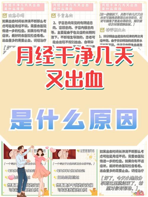 又是怎么来的(又是什么来着)-第6张图片-文史 又是怎么来的(又是什么来着)-第6张图片-文史