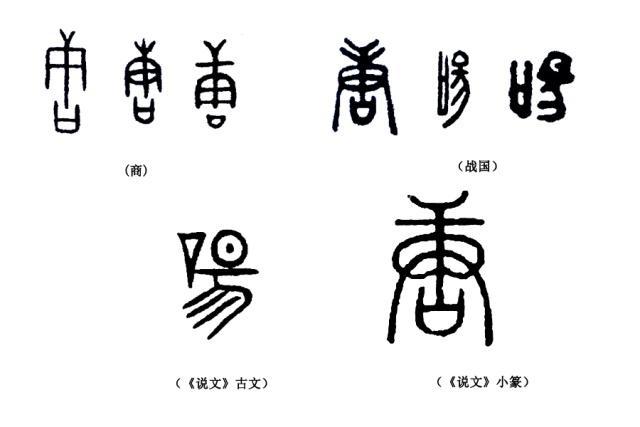隋朝文字:隋朝时代用繁体楷书为主(隋唐繁体)-第3张图片-文史 隋朝文字:隋朝时代用繁体楷书为主(隋唐繁体)-第3张图片-文史