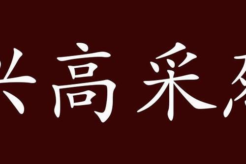 成语兴高采烈的主人公是谁（兴高采烈是描写人物什么的成语）
