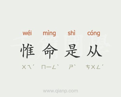 成语惟命是从的主人公是谁(惟命是从的意思是)-第2张图片-文史 成语惟命是从的主人公是谁(惟命是从的意思是)-第2张图片-文史