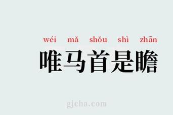 马首是瞻这个成语故事中的主人公是谁,马首是瞻的成语吗