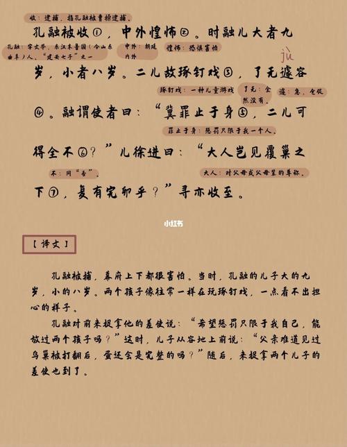 覆巢之下，焉有完卵中的主人公是谁,覆巢之下焉有完卵的故事