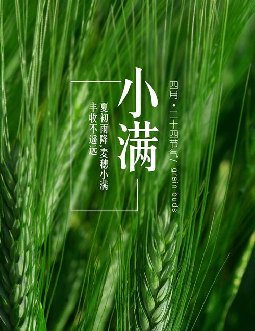 小满是什么意思,二〖Fourteen〗、节小满是什么意思-第2张图片-文史 小满是什么意思,二〖Fourteen〗、节小满是什么意思-第2张图片-文史