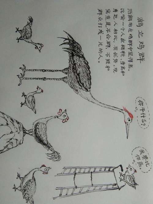 鹤立鸡群这个成语故事中的主人公是谁(鹤立鸡群这个成语故事中的主人公是谁啊)-第5张图片-文史 鹤立鸡群这个成语故事中的主人公是谁(鹤立鸡群这个成语故事中的主人公是谁啊)-第5张图片-文史