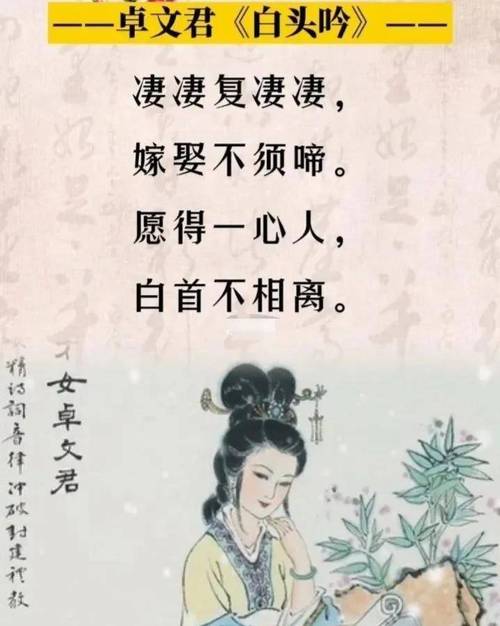 红颜知己出自哪个典故,红颜知己出自哪里-第7张图片-文史 红颜知己出自哪个典故,红颜知己出自哪里-第7张图片-文史