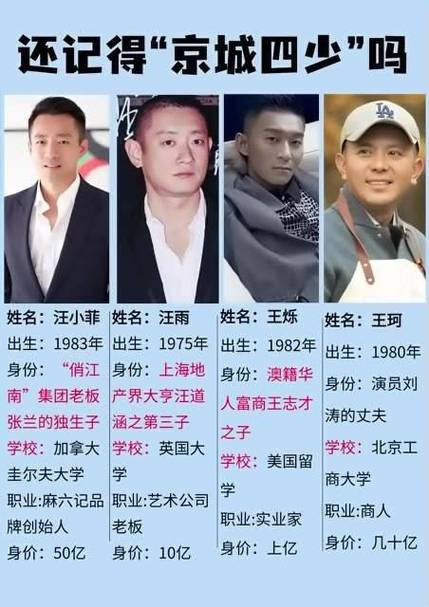 民国四少都有哪些,民国四巨头-第3张图片-文史 民国四少都有哪些,民国四巨头-第3张图片-文史