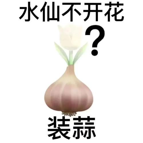 装蒜原是一个历史典故,装蒜是哪里的方言-第7张图片-文史 装蒜原是一个历史典故,装蒜是哪里的方言-第7张图片-文史